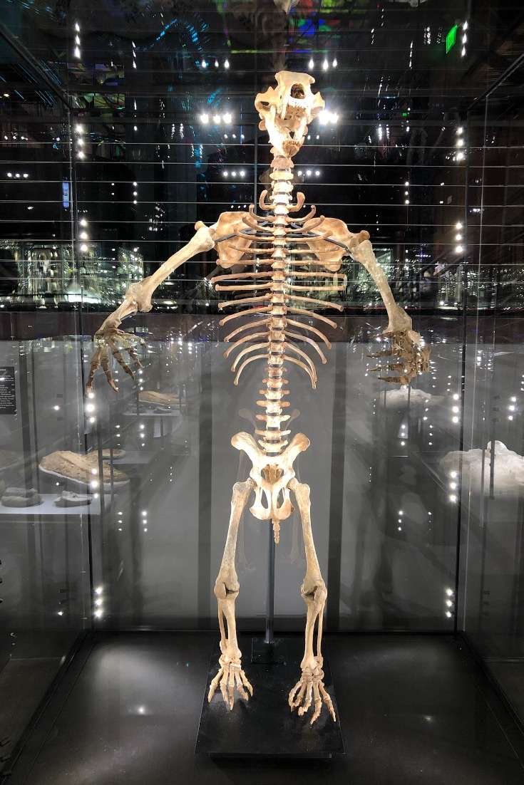 The Deep South USA. Unique Hotel Features